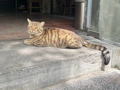 -Mammamia意大利餐厅(阳春巷店)