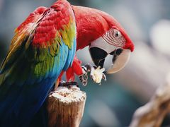 -杭州野生动物世界