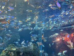 -成都浩海立方海洋公园