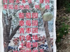 -凤岗南门山森林公园