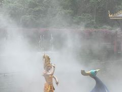 -西双版纳原始森林公园