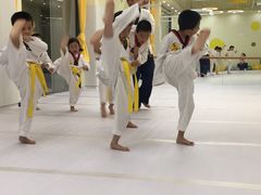-勇气斑马·巴西柔术&跆拳道(浦东三林店)