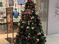 -深圳湾万象城(南山店)