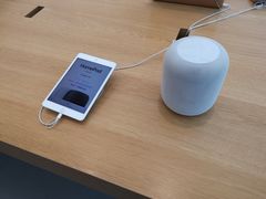 -Apple 零售店(Canton Road)