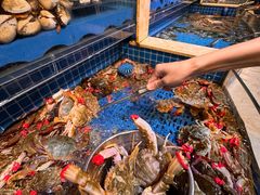 -乔哥铭洋海鲜自助(皇城恒隆广场店)