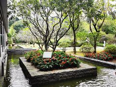-南宁荔园维景国际酒店·荔园中餐厅