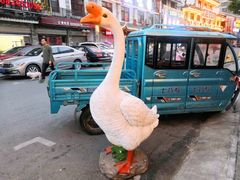-巢湖名吃·东关老鹅汤(江南风情街店)