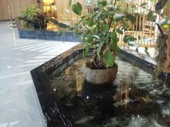 -水悦汇