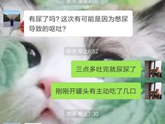 -安安宠医宠物医院·异宠·犬猫内科(岳阳分院)