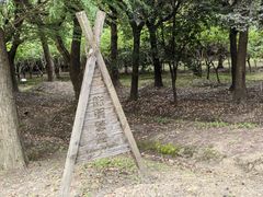 -广富林郊野公园