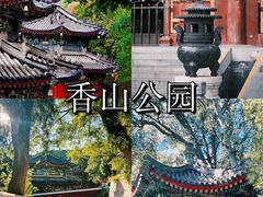 -香山公园