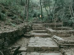 -老象峰