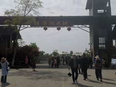 -泗洪洪泽湖湿地景区