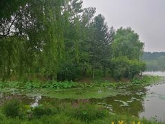 -东郊湿地公园
