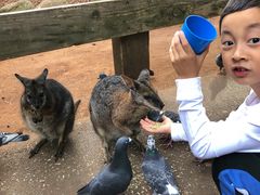 -费瑟代尔野生动物园