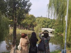 -月湖风景区
