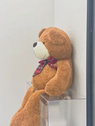 -三只熊皮肤管理中心旗舰店