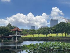 -深圳龙潭公园