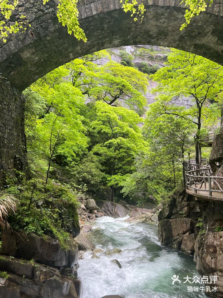 大鄣山卧龙谷旅游区图片