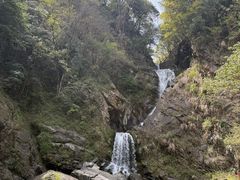 -石台牯牛降景区