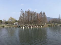 -玄武湖景区-情侣园游乐场