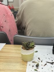 -中法母婴月子中心(南湖创始店)