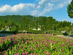 -东南花都花博园