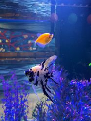 -酷嗒动物文化乐园(cutezoo西溪乐天城店)