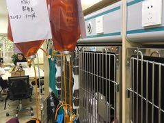 -美联众合动物医院·24h转诊中心