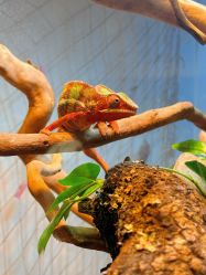 -Zoolung Zoolung动物主题公园(海信广场店)