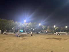-天鹅湖体育公园