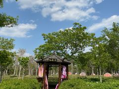 -南京枫彩漫城