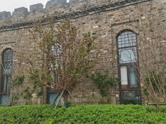 -观潮胜地公园