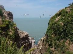 -海驴岛(荣成市)