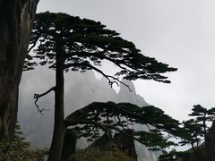 -黄山风景区