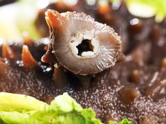 -宫品海参专卖店(黄浦老西门店)