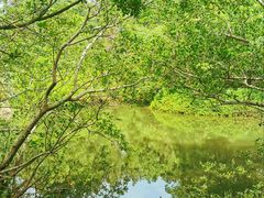 -白沙门生态公园