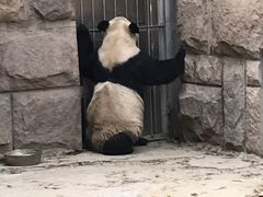 -北京动物园