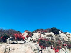 -泰山风景名胜区