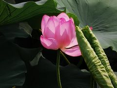-宁波鄞州万达广场