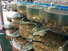 -仙螺岛海鲜自助餐厅(总店)