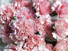 -慕禧法式甜品(如意商务大厦店)