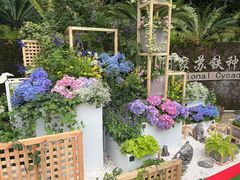 -深圳仙湖植物园
