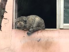 -青藏高原野生动物园