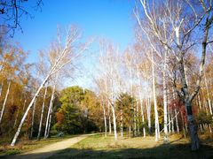 -长春市南湖公园