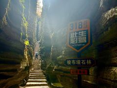 -梭布垭石林景区