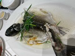 -稻香酒家·35年老字号(侨光店)