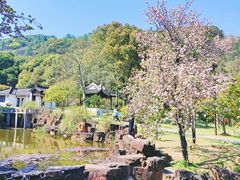 -灵岩山风景区