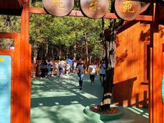 -东平国家森林公园