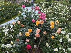 -人民公园(罗湖区)